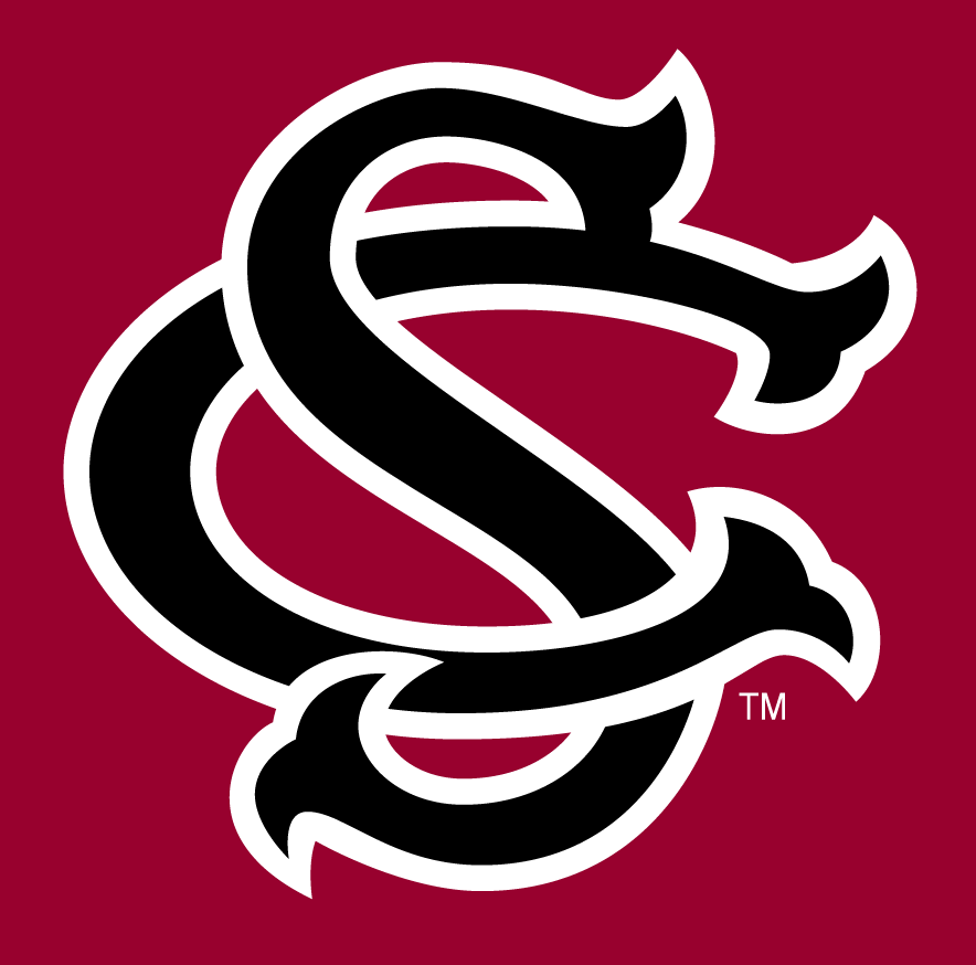 South Carolina Gamecocks 1993-Pres Alternate Logo v2 diy iron on heat transfer